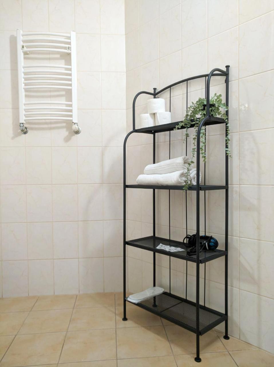 Best Apartment In The Center Mukacheve Luaran gambar